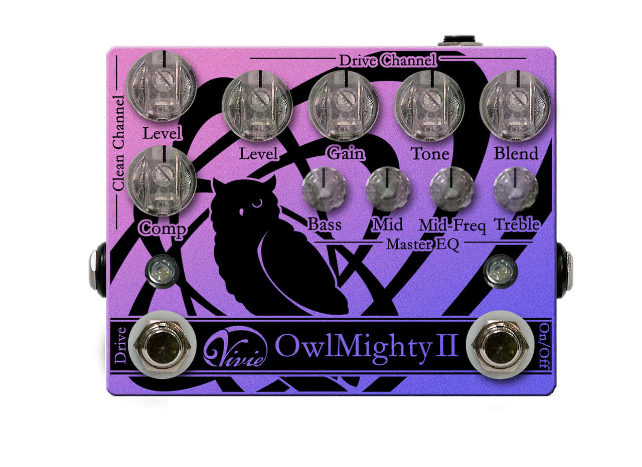 屋内でのみ使用していましたVivie Owl Mighty II - ギター