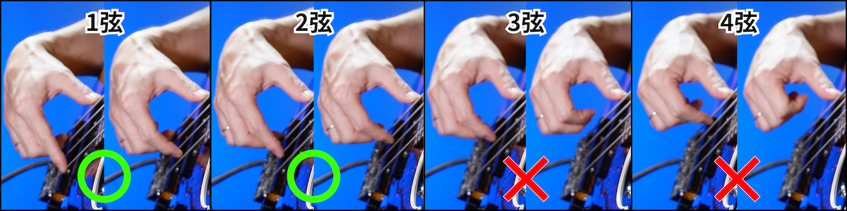 写真2