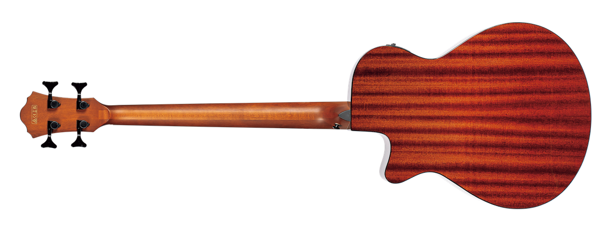 Ibanez/AEGB25E-TKH