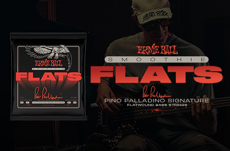 Pino Palladino Smoothie Flats Bass Strings”
